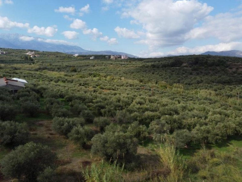 Tsivaras Kreta, Tsivaras: Grundstück zum Verkauf in Tsivaras Grundstück kaufen